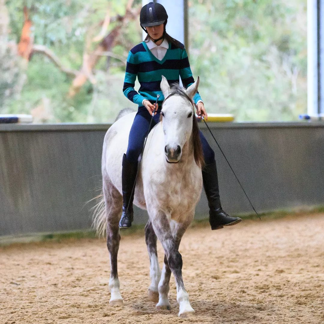 Liberty Riding & Bridleless Riding in Australia: How to Begin