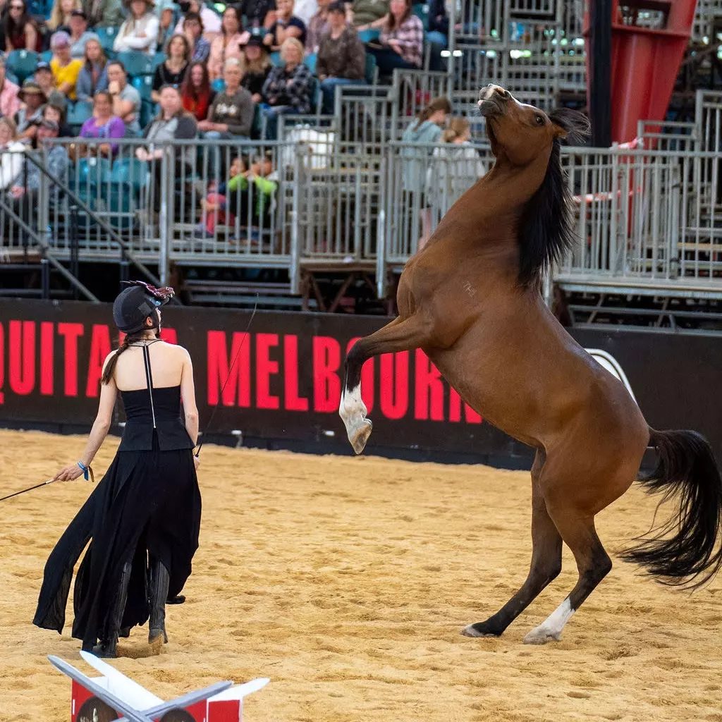 Throwback: Performing at Liberty at Equitana Melbourne 2022