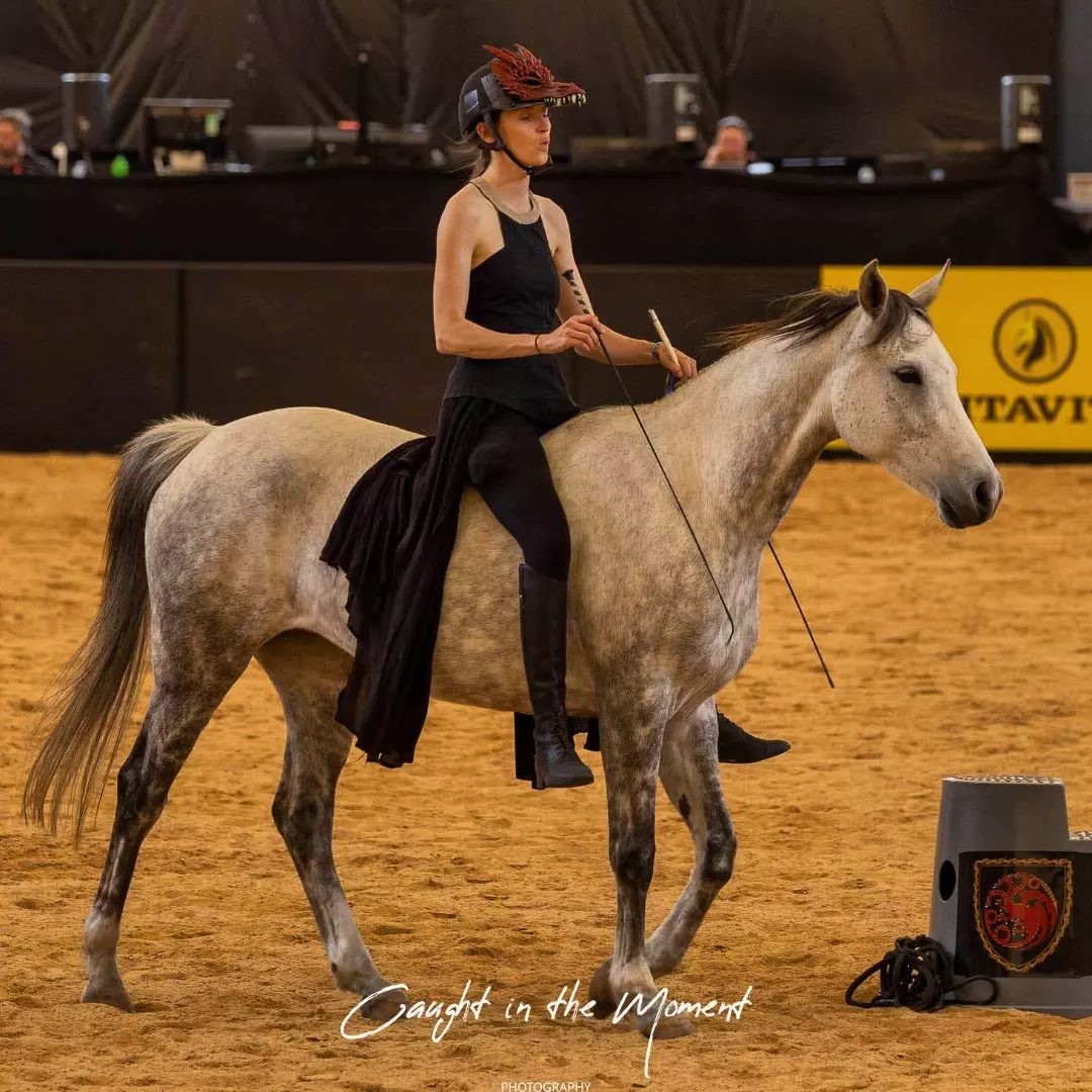 Rider on grey mare Rahni with no bridle in the Equitana arena