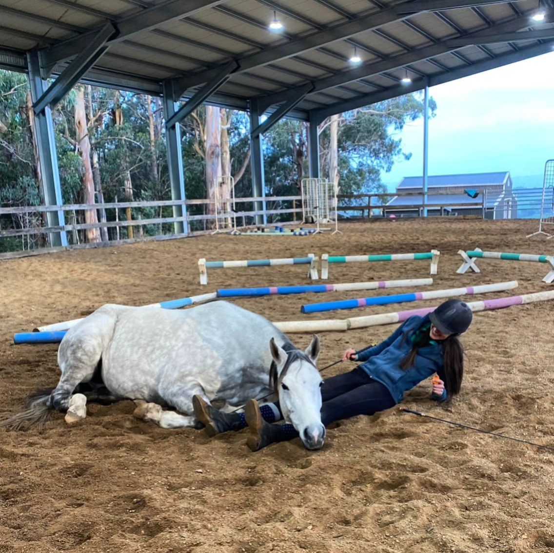 Rahni lying down in the arena while her rider rests against her