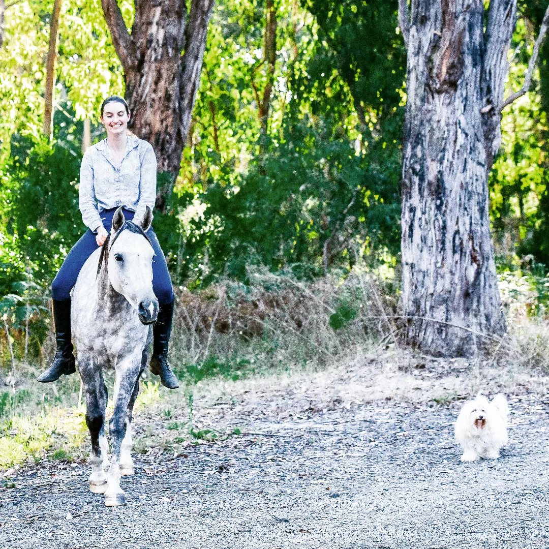 Riding Rahni down a gravel track with a small fluffy white dog tagging along